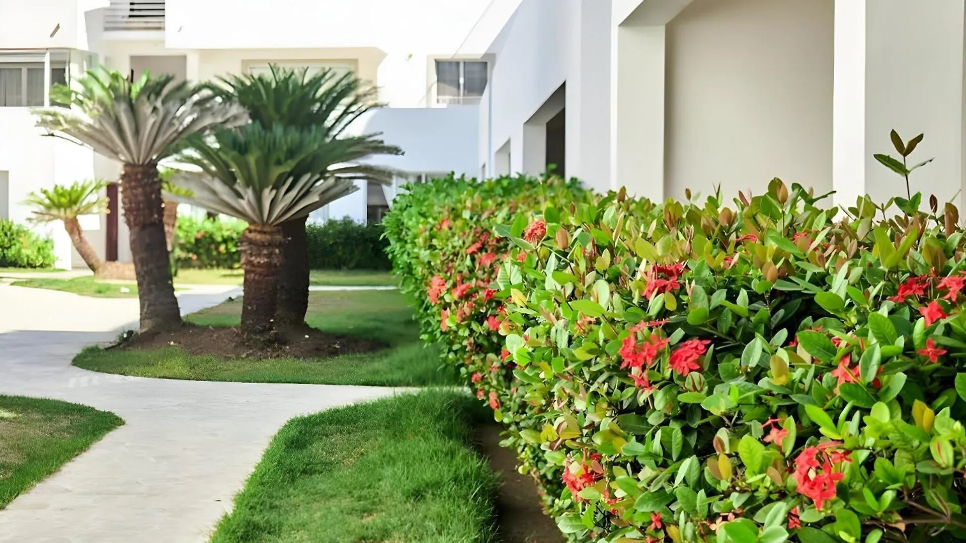 Los Corales Beach Village Punta Cana - The Original Hotel